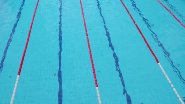 Seimming zwembad rijstroken — Stockvideo