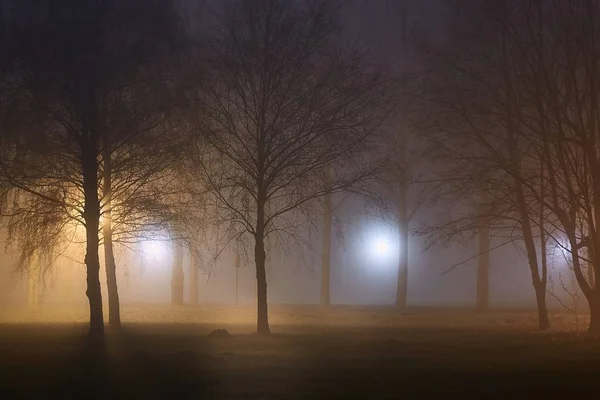 神秘的な霧の夜 — ストック写真
