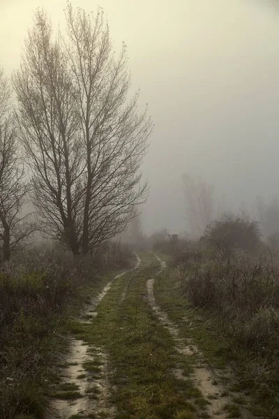 Weg im Nebel — Stockfoto