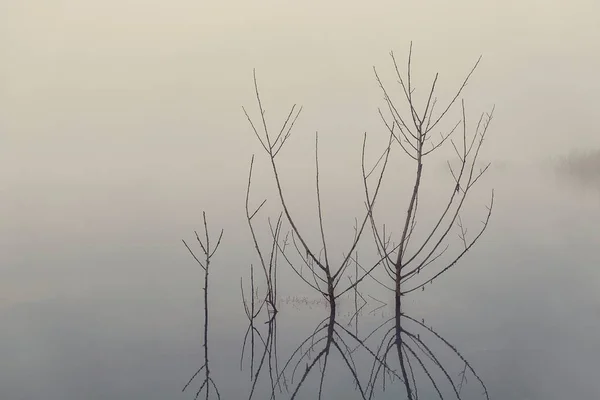 Lake in mist — Stockfoto