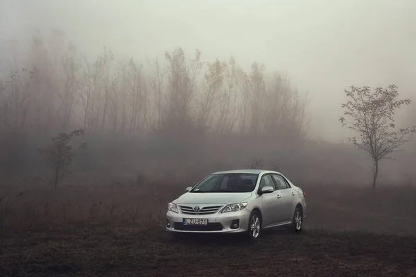 Toyota corolla в тумані — стокове фото
