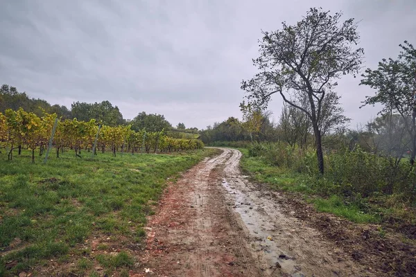 Dirtroad in the countryside — Stock Photo, Image