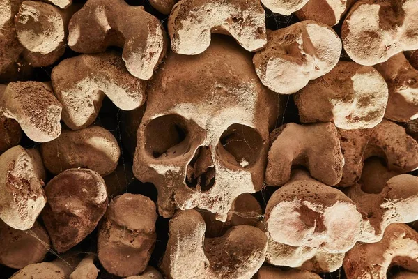 Skulls and bones in a wall — Stock Photo, Image