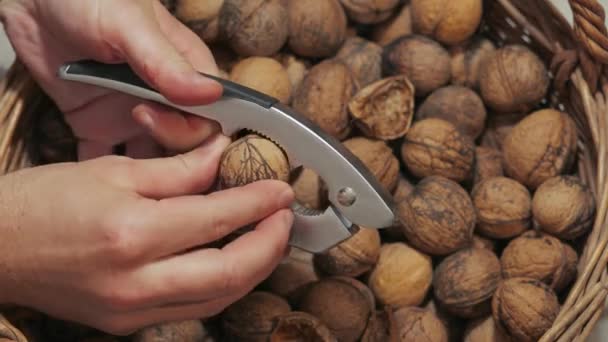 Nozes rachaduras para comer — Vídeo de Stock