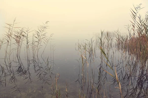 Nevoeiro à beira do lago — Fotografia de Stock