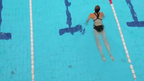 Natação em uma piscina — Vídeo de Stock