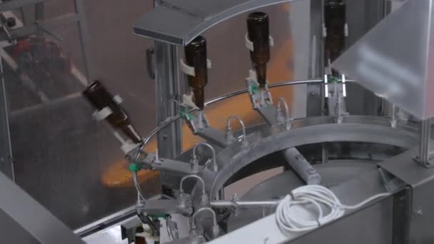 Flaschenwaschen in der Bierfabrik — Stockvideo
