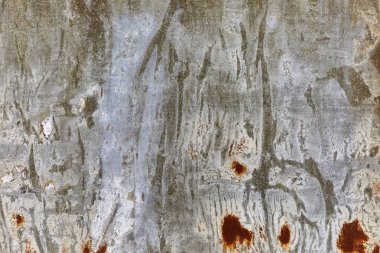 Paslı, kaşındıran doku