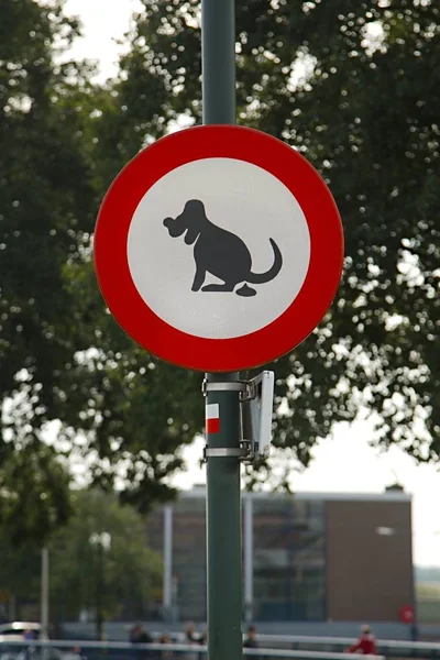 Dogs sign in park — Stock Photo, Image