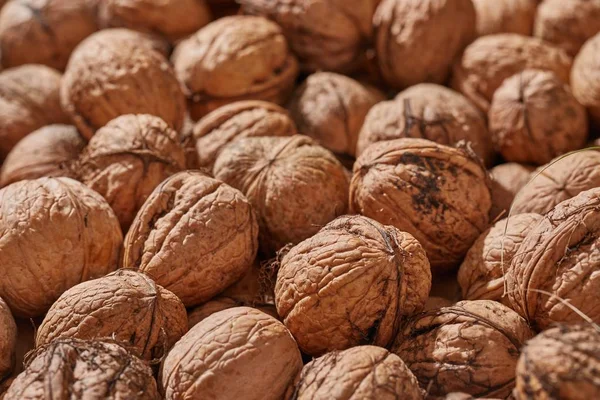 Walnuts in a pile — Stock Photo, Image