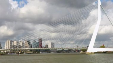 Rotterdam gezi teknesi turu