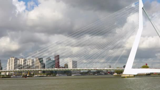 Rotterdam sightseeing boottocht — Stockvideo