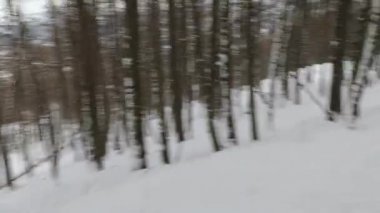 Ormanda kayak yapmak.