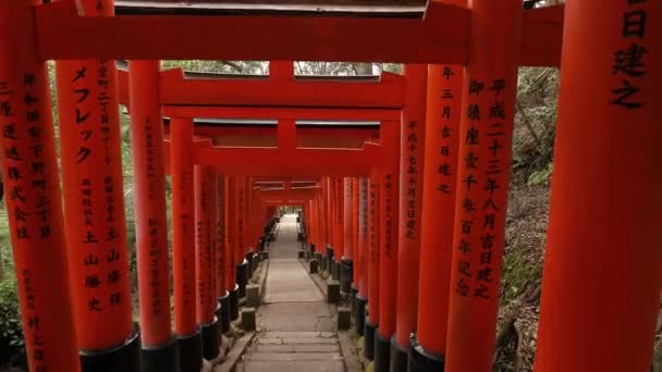 Fushimi Inari Taisha torii puertas — Vídeos de Stock