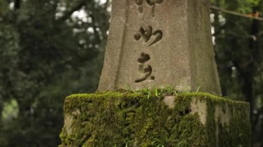 Geleneksel Japon fener