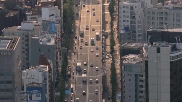 Carros em uma via expressa japonesa — Vídeo de Stock