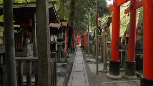 Fushimi Inari Taisha torii puertas — Vídeos de Stock