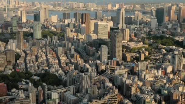 Vista aérea de Tokio — Vídeo de stock