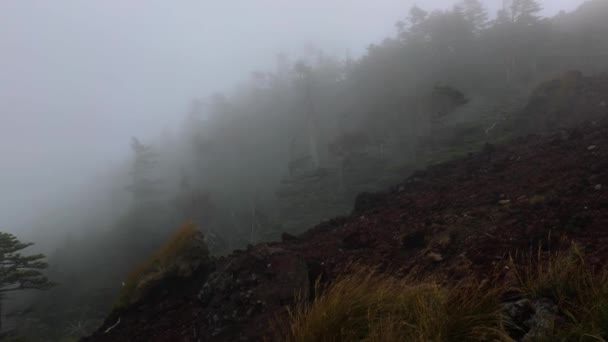 Niebla moviéndose en las colinas — Vídeo de stock