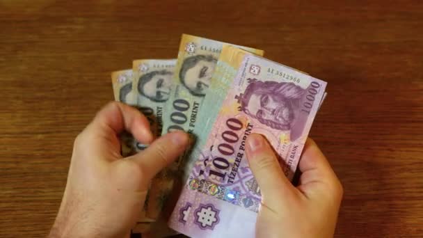 Counting money, Hungarian Forints — Stock Video