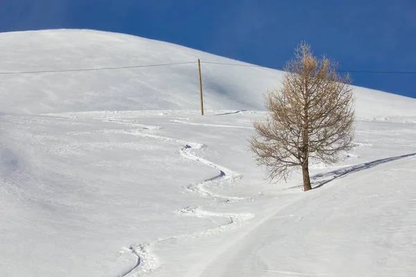 Skipiste met frisse bochten — Stockfoto