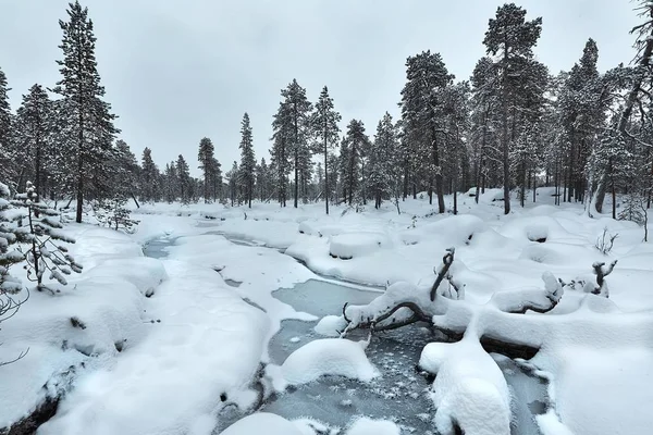 Winterliche Schneelandschaft — Stockfoto