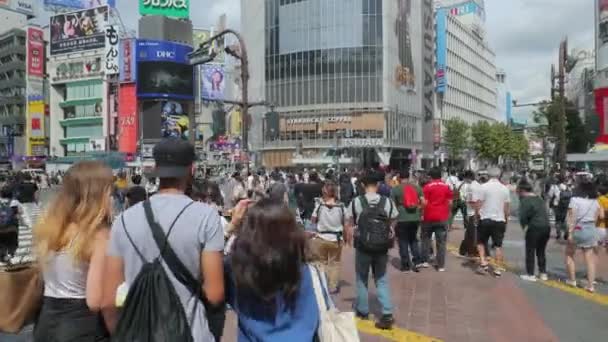 Сибуя поет в Токио — стоковое видео