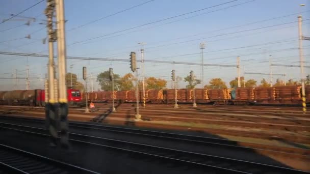 Uitzicht op het raam van treinreis — Stockvideo