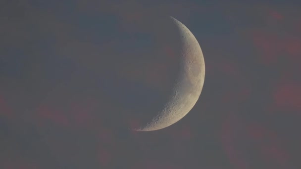 Moon Shot 1200Mm Clouds Passing Front Timelapse Footage — Stock Video