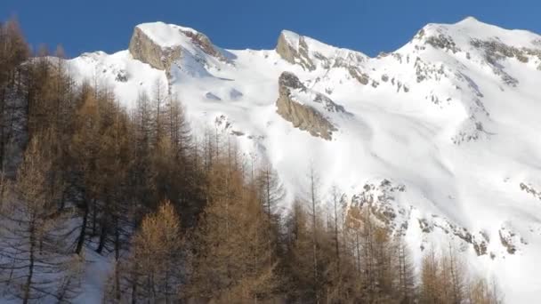 Inverno floresta de montanha — Vídeo de Stock