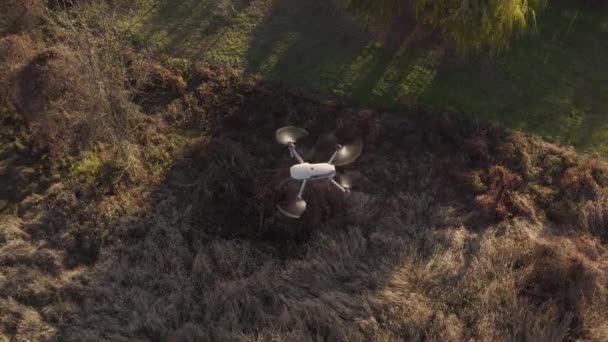 Drone che vola all'aperto — Video Stock