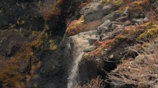 Wasserfall bei Windböen — Stockvideo