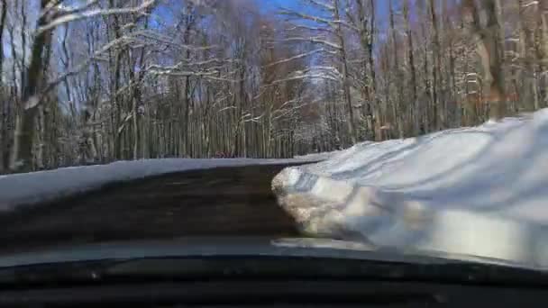 Conducir un coche, paisaje nevado — Vídeo de stock