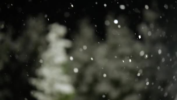 Πέφτει χιόνι τη νύχτα — Αρχείο Βίντεο