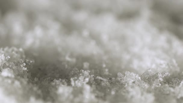 Queda de flocos de neve coleta — Vídeo de Stock