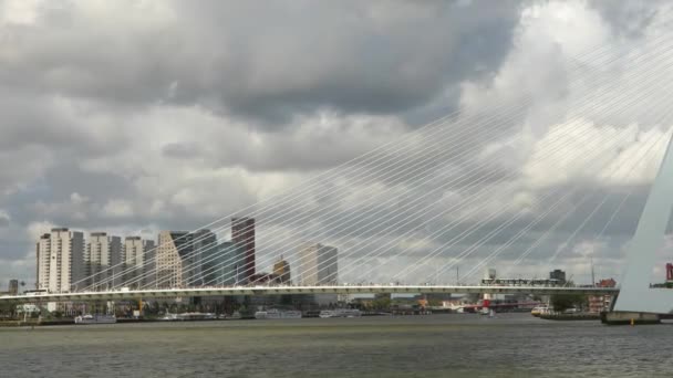 Rotterdam excursión en barco turístico — Vídeos de Stock