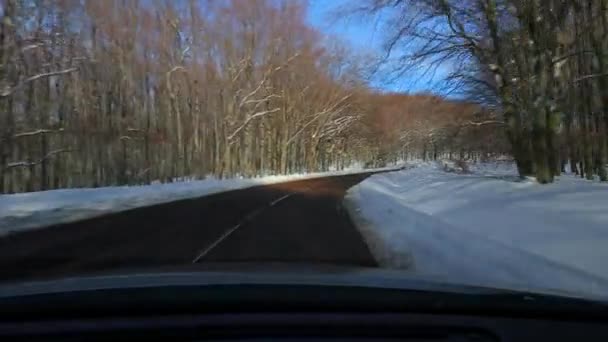 Araba sürmek, karlı bir manzara. — Stok video