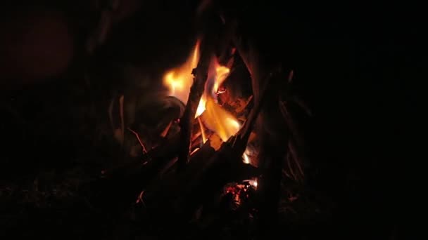 Fuego Campamento Ardiendo Noche Con Movimiento Cámara Mano Sacudida — Vídeo de stock