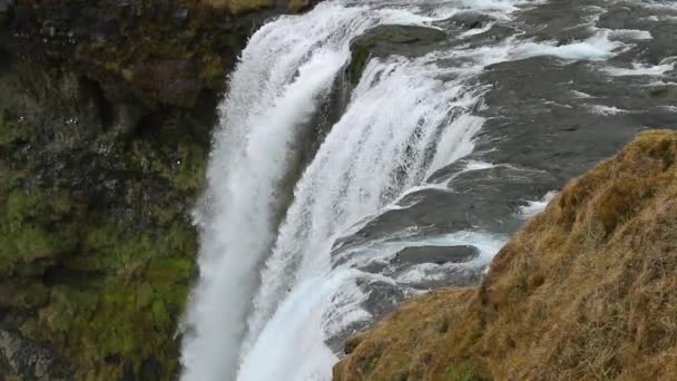 Skogafoss vattenfall i islandet — Stockvideo