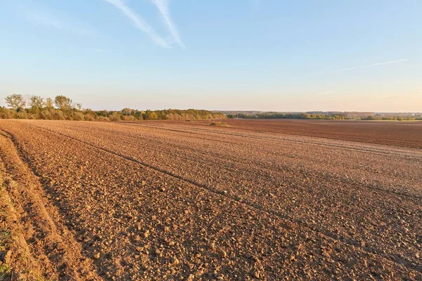 Agircutural field in late sunlight — Stock Photo, Image