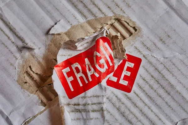 Fragiele stempel close-up — Stockfoto