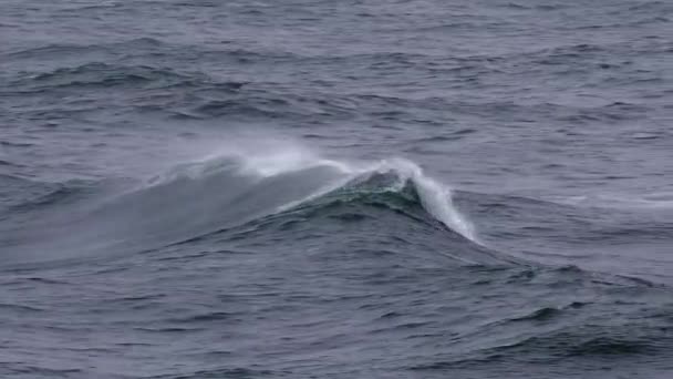 Olas oceánicas rompiendo — Vídeo de stock