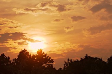 ağaç siluetleri ile gökyüzü