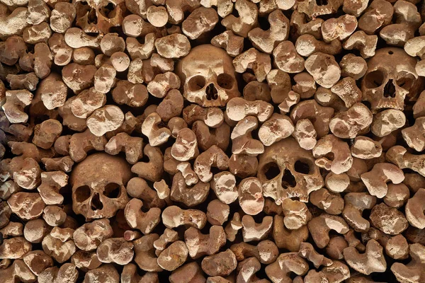 Skulls and bones in a wall — Stock Photo, Image