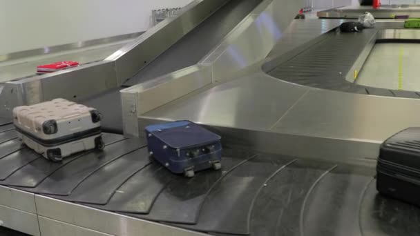 Pasa odbioru bagażu — Wideo stockowe