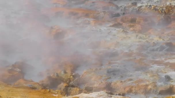 Volcanic hot mud pool — Stock Video