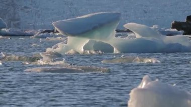 Kuşlar ile buzul Gölü