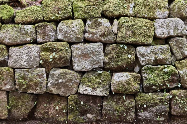 Oude stenen muur — Stockfoto