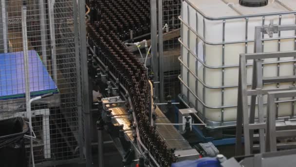 Beer factory lining up bottles — Stock Video