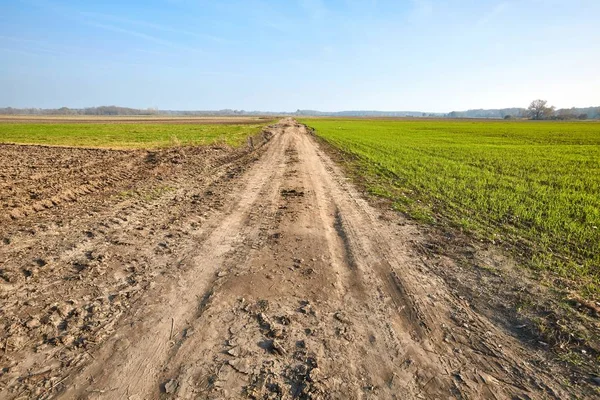 Агиркутуральное поле с грунтовой дорогой — стоковое фото
